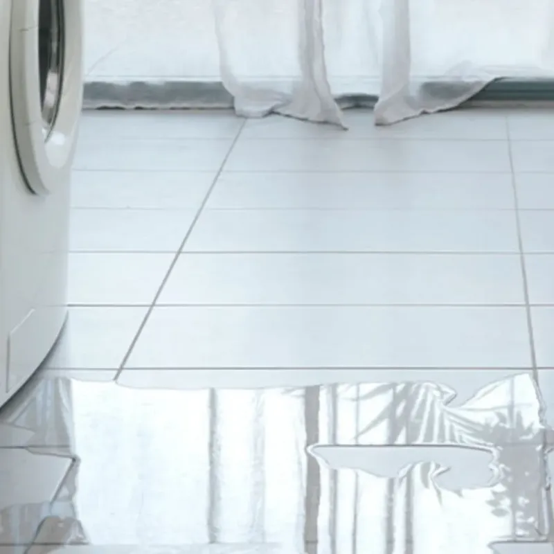 Appliance Leak Cleanup in Sharp County, AR