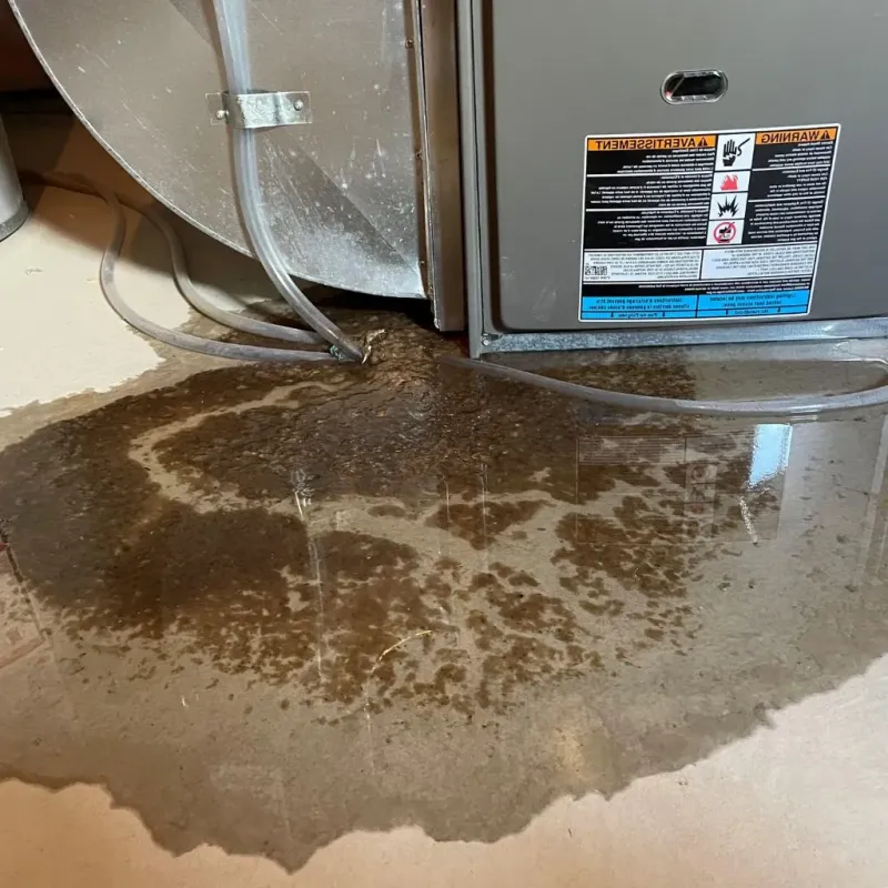 Pipe Burst and Leak Restoration in Sharp County, AR